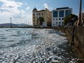 Πρόγραμμα 2 εκατ. ευρώ για πληγείσες επιχειρήσεις 